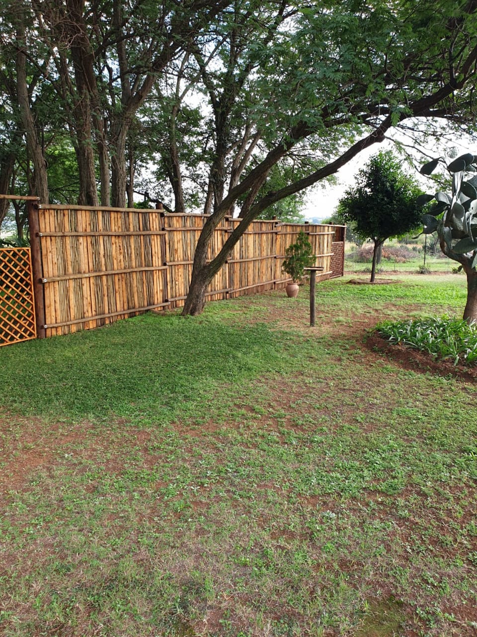 Dreyer Woodworks project